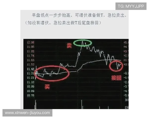 零基础也能操作的高效在线赚钱方法与实用技巧大全